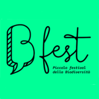 placemaking Reggio Emilia evento Piazza Popol Giost
